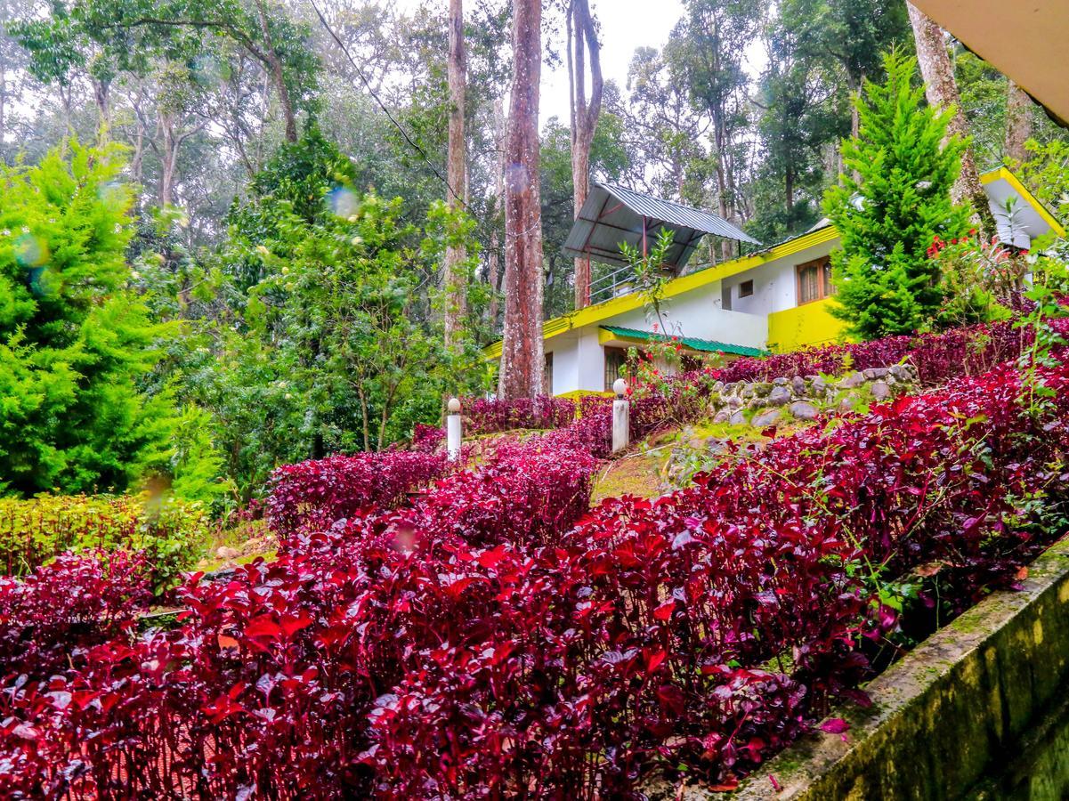 Oyo 4651 Woodpecker Resort Munnar Exterior photo